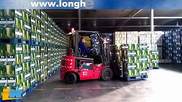 Single double pallet handler