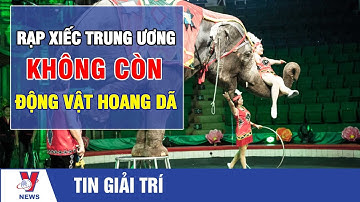 Tin giải trí: Rạp xiếc Trung ương không còn động vật hoang dã - VNEWS