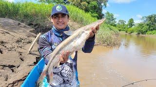 pesca de blanquillos (carnada efectiva)