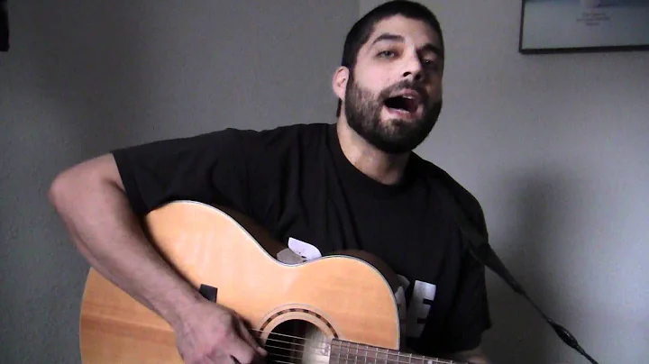 Animal- Miike Snow Acoustic Cover