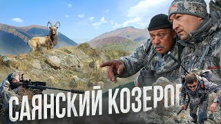 ПЕРВЫЙ ТРОФЕЙ. САЯНСКИЙ КОЗЕРОГ