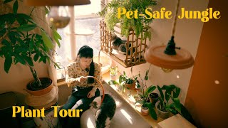Pets & Plants | Which of your houseplants are #PETSAFE? 🌱 #PlantTour #Petfriendly by Feline Jungle 2,322 views 3 months ago 17 minutes
