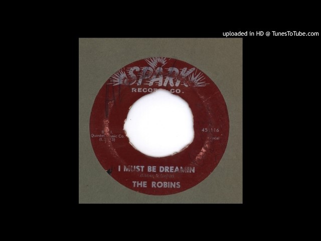 ROBINS - I MUST BE DREAMING
