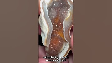 An Agatized Coral Geode/Fossil I found in Florida!#rockhounding #geology #agate #agatedad #shorts