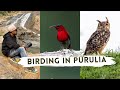 Birding at ajodhya hills purulia  birdwatching india  indian birds