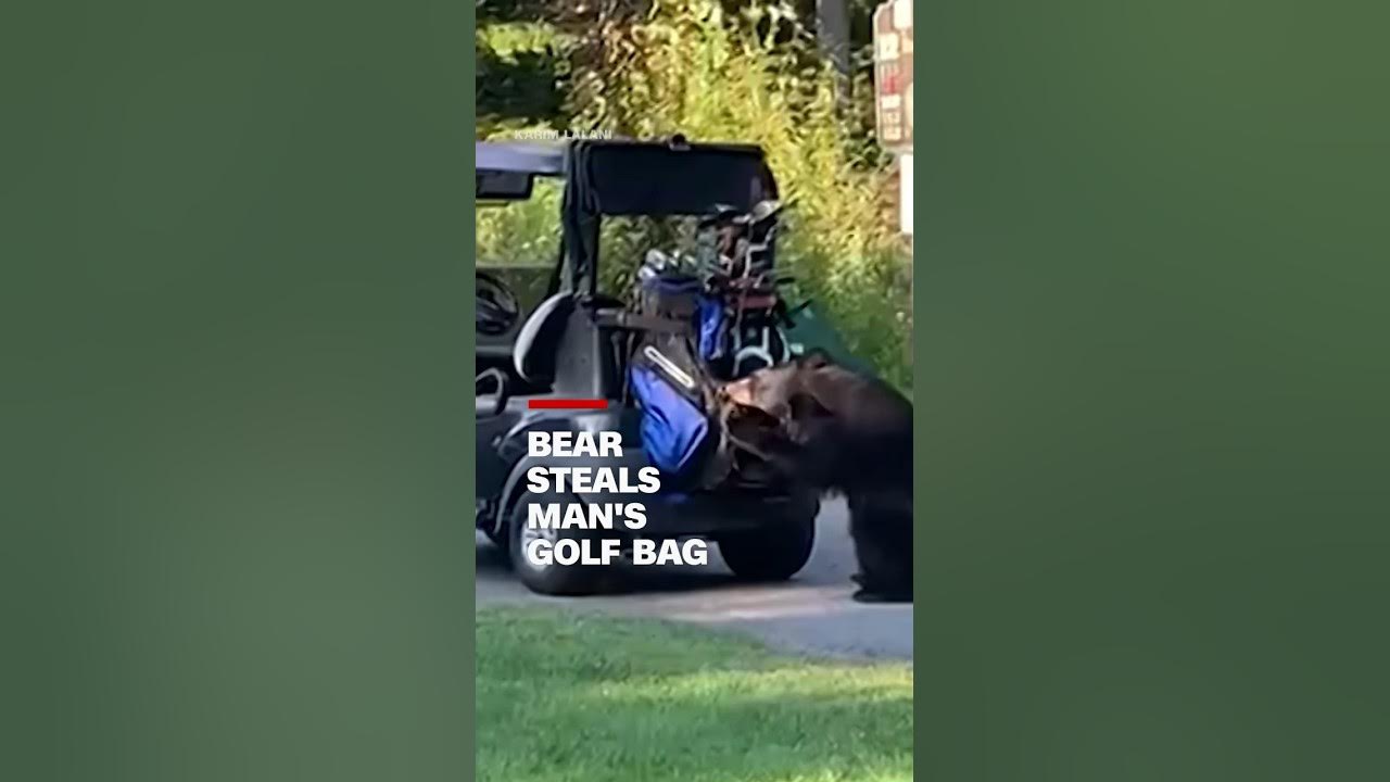 Bear steals man’s golf bag