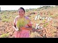 Making Navajo Tea
