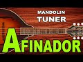 Afinador de Mandolina - AFINADOR DE MANDOLINA