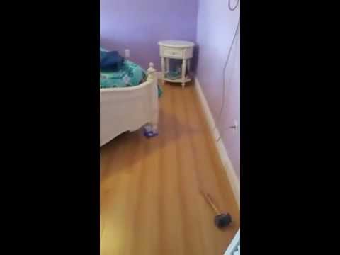 Classic Beech Laminate Flooring Miami Fort Lauderdale Video Youtube