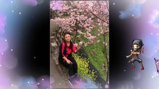 蘇州夜曲/尺八/bB鍾治華華 蘇州夜曲/尺八/bB鍾治華華