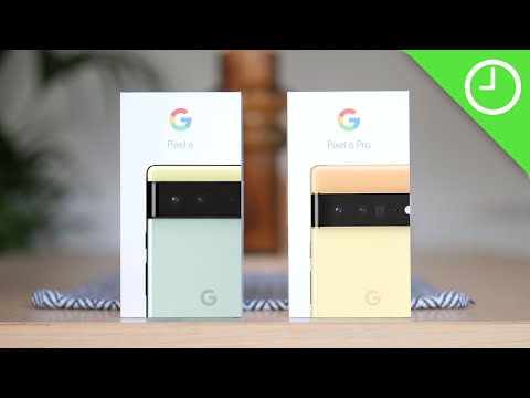 Pixel 6 and 6 Pro explained!