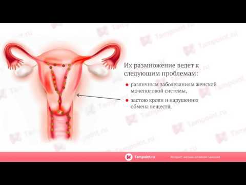 Китайские тампоны. Принцип действия/#anti-hemorrhoids