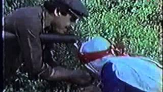 filiz özten Nenni Bebek (1987) ~~ Tarık Tibet‏.mp4