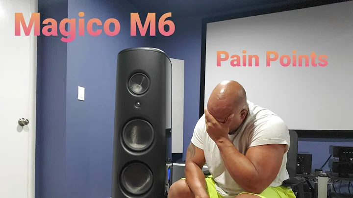Magico M6 : What are the CONs of owning this speaker?