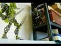 Bionicle fight 3 varkuta vs lewa nuva