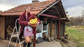ผู้หญิงอาศัยอยู่ในหมู่บ้าน การติดตั้งกระเบื้องหลังคาเก่าสำหรับเตาอบในชนบท การอบพายแอปเปิ้ลที่น่าทึ่ง