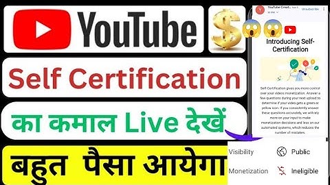 Introducing self certification in youtube? what is youtube self certification program in Hindi 2024
