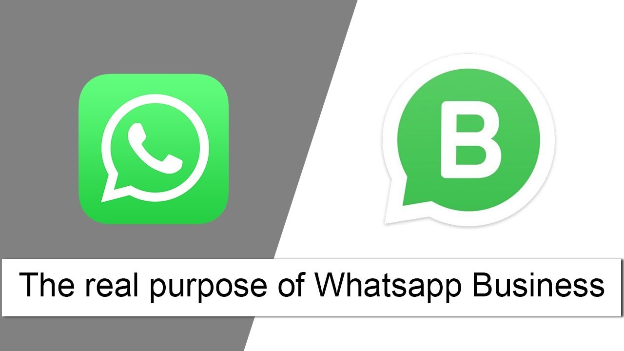 Difference Between Whatsapp Messenger And Whatsapp Business What Is