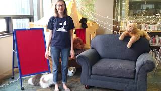 At Home with the Library - The Beaver Song