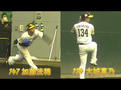 ブルペンで熱のこもった投球をする加藤洸稀投手、大城真乃投手。【福岡ソフトバンクホークス】