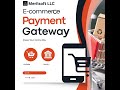 Merilsoft | E-commerce Solutions