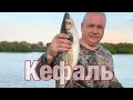 Ловля кефали Флорида , mullet fishing