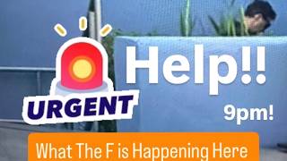 LFM TV -  Emergency Live! Scientology Blue Building Security Abuse o caught on video TODAY!