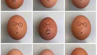 Celebrity Happy Easter everybody. Net Worth