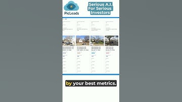 PicLeads - Digitally Driving For Dollars