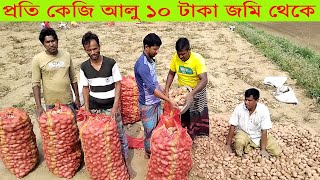 প্রতি কেজি আলু ১০ টাকা জমি থেকে । আলু চাষ পদ্ধতি । Potato cultivation । ১২-০২-২০২৫ । SHB