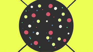 What Are Feynman Diagrams?