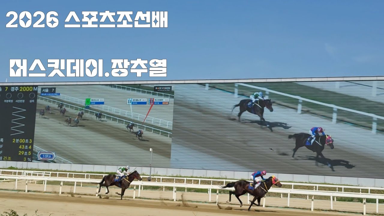혼전판으로 보고 단식1위마도 재키고 붙어보았으나~역쉬나 경마는!