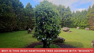 The Luck Of The Irish, Magic, Fairies, Ancient Stone Circles And Hawthorne Trees