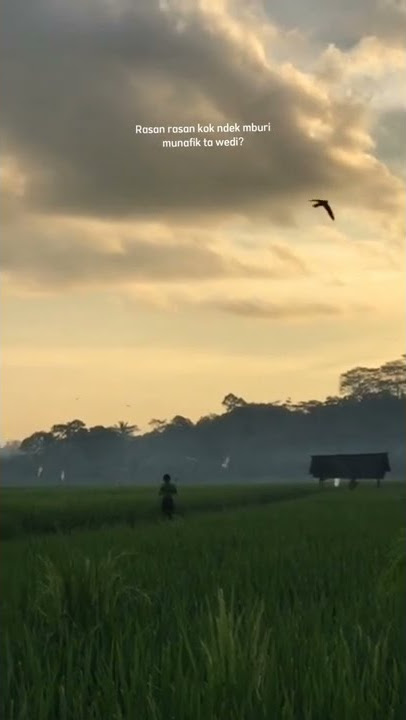 Story wa nyindir teman || bahasa jawa