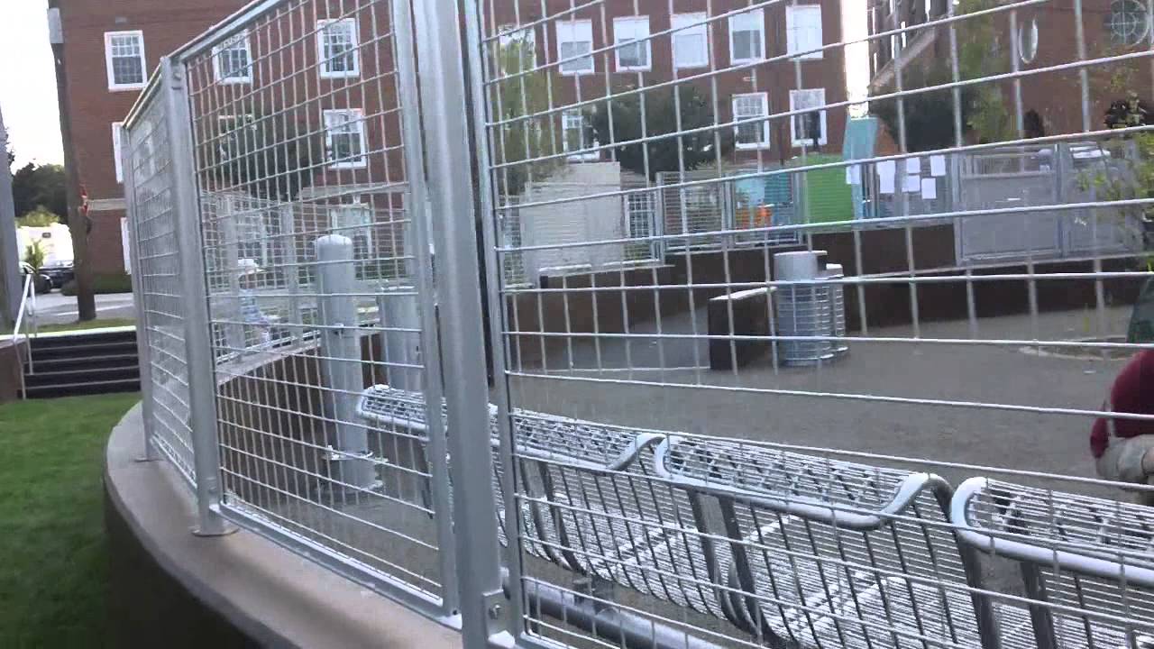 Opening Morning at the Clarendon Dog Park in Arlington, Virgnia (8/31