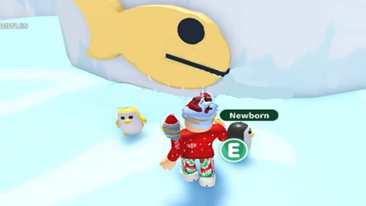 Trying to get a Golden Penguin in Adopt Me Roblox. YouTube