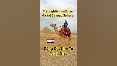 Trải nghiệm cưỡi lạc đà tại Sa mạc Sahara cùng Đại Kim Tự Tháp Giza #daoxuanloc  #egypt🇪🇬 #travel