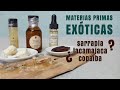 Materias primas exóticas | beneficios y usos| un té con Daniela