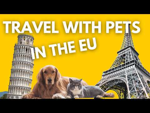 Essential Pet Travel Documents for the EU What You Need to Know