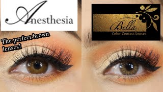 Anesthesia Addict Nocciola Comparison To Bella Color Lenses Oak Summer Lenses 2023
