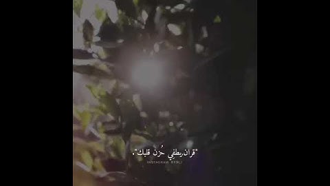 عبد الرحمن مسعد  /مقاطع قصيرة/قرآن كريم/ تلاوة عطرة خاشعة