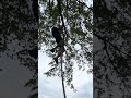 Fun Rope Climb With No Feet 😱😳💯!!!#rope #new #ninja #shorts #trending #viral #gripstrength #god ￼