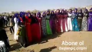 Hali̇l Harbavi̇. Süper Halay Şevko Çamuzi̇k