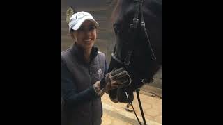 Lovely Black Horse Licking Beautiful Girl