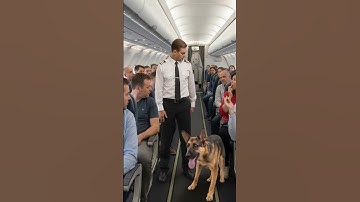Heldhaftige hond redt passagiers voor vliegtuigexplosie | Echte luchthavenredding 2025 ✈️🐕