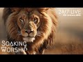 Lion of Judah, Prophetic Warfare Violin Instrumental Worship, Prayer Warfare Music Instrumental