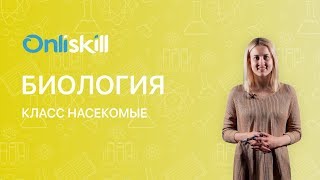 БИОЛОГИЯ 7 класс: Класс Насекомые