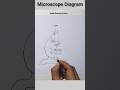Compound Microscope Drawing Shorts Microscopedrawing Youtubeshorts 