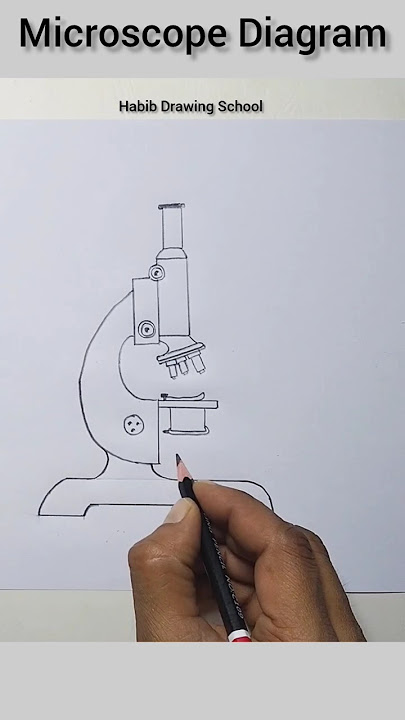 Compound Microscope Drawing #shorts #microscopedrawing #youtubeshorts