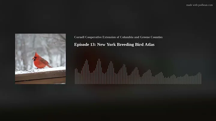 Episode 13: New York Breeding Bird Atlas